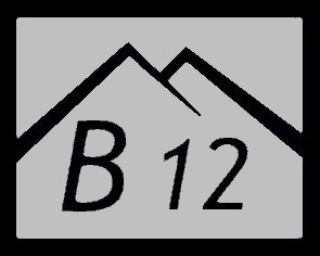 b12_stribrna